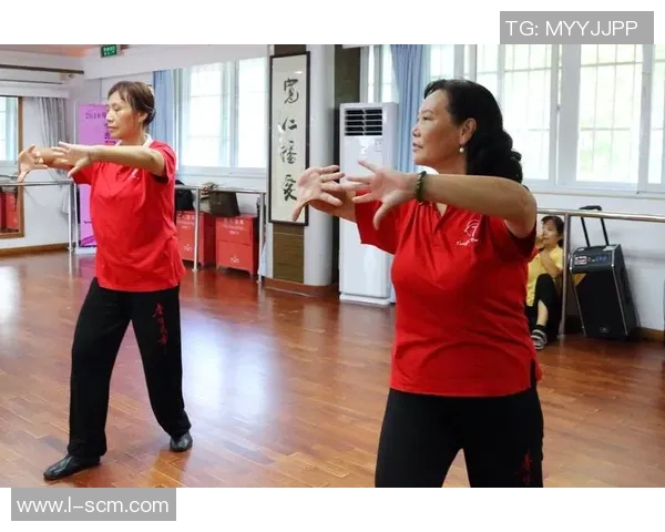 杨丽分享排球成功秘诀揭秘背后的努力与坚持